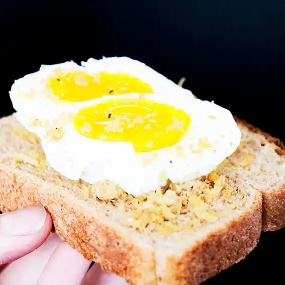 계란_난각표시제