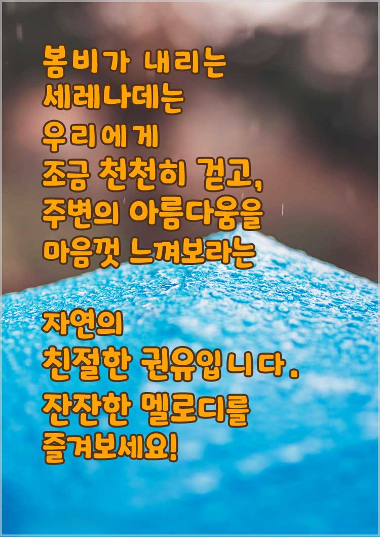 봄비 인사말 비오는 날 좋은 인사문구-봄비가 내리는 세레나데는 우리에게 조금 천천히 걷고&amp;#44; 주변의 아름다움을 마음껏 느껴보라는 자연의 친절한 권유입니다. 잔잔한 멜로디를 즐겨보세요!