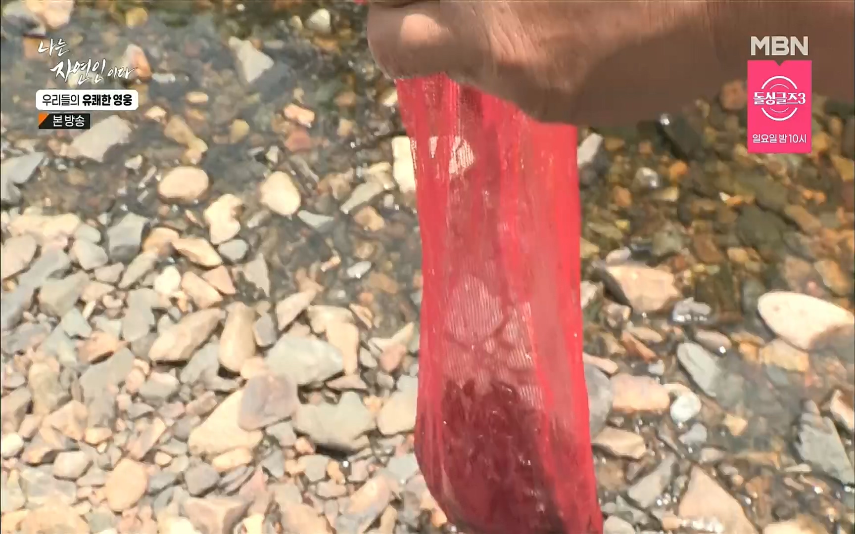 나는 자연인이다.E508.220629p.H264-F1RST.mp4_20220630_203348.479.jpg