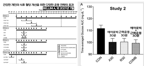 혈당 스파이크 예방 7가지 방법