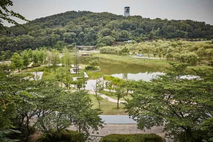 북서울꿈의숲