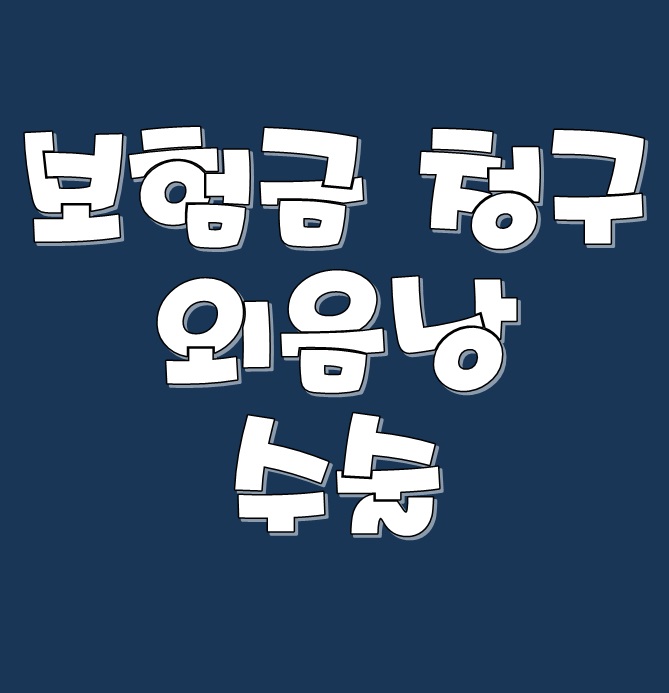  (보험금 청구) 외음낭 수술(N907)