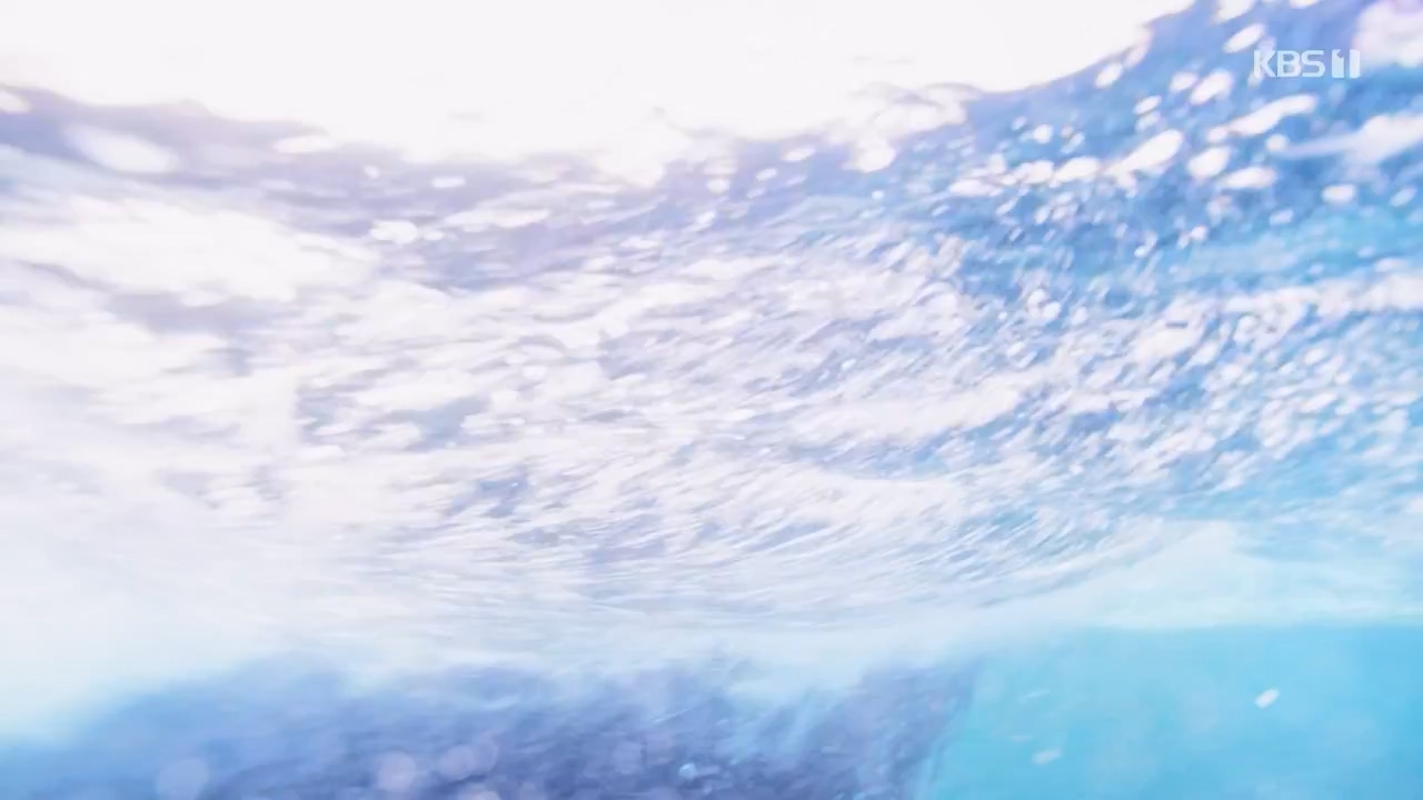 KBS 대기획 3부작 빙하.E01.240308p-NEXT.mp4_20240310_145927.237.jpg