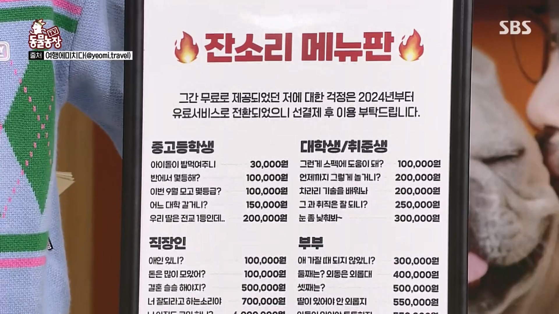 TV 동물농장.E1158.240211p.H264-F1RST.mp4_20240211_190930.217.jpg