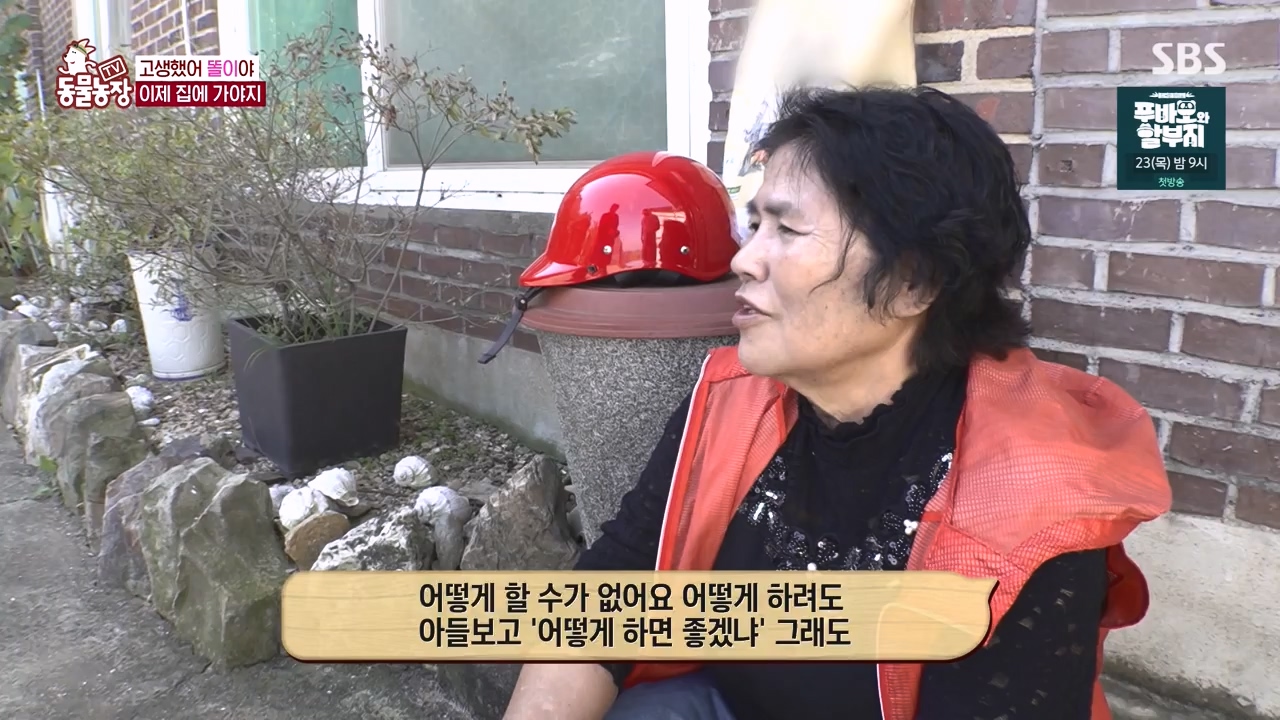 TV 동물농장.E1146.231120p-NEXT.mp4_20231119_175305.446.jpg