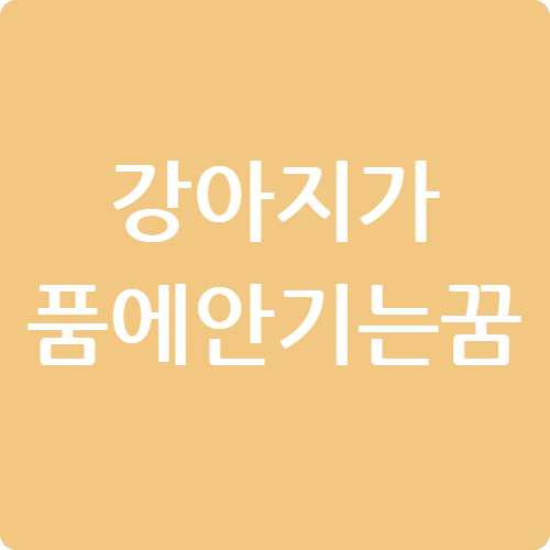 강아지가 품에 안기는 꿈