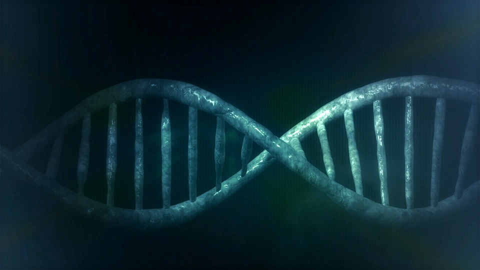  DNA repair - 돌연변이 복구 기작 