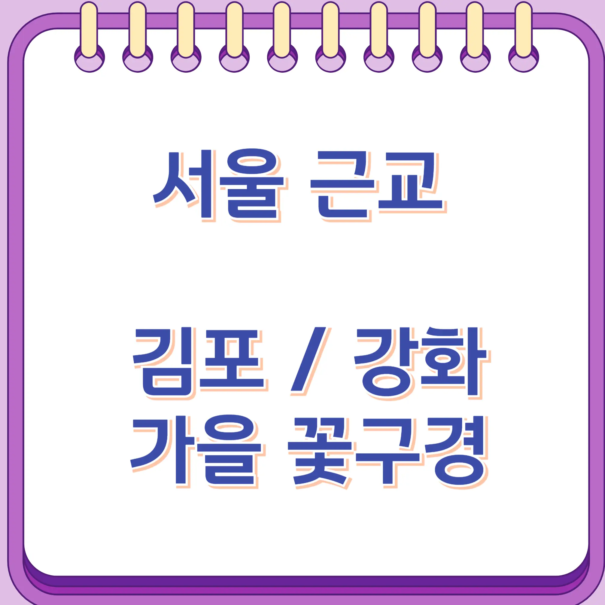 서울근교 김포 강화 가을 꽃구경