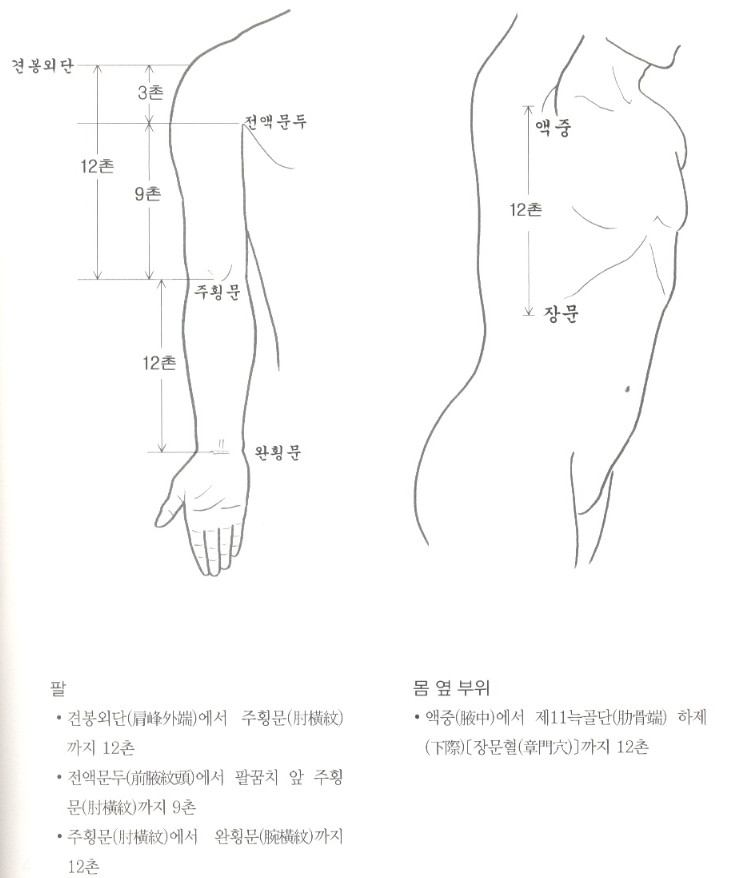 골도분촌법 - 골도분촌법(骨度分寸法) 이란? 골도분촌법 - 골도분촌법(骨度分寸法) 이란?