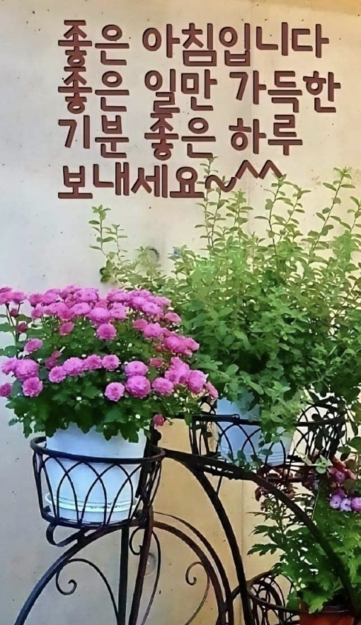 토요일 아침인사말