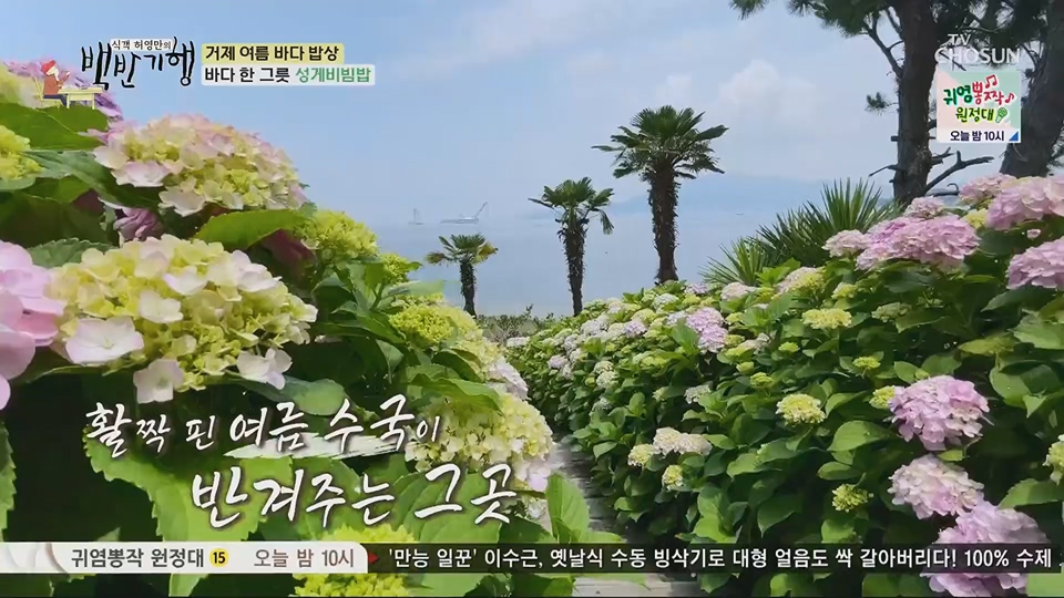 식객 허영만의 백반기행.E206.230707p.H264-F1RST.mp4_20230708_171501.567.jpg