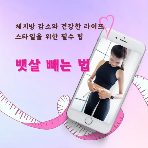 뱃살 빼는 법 완벽 가이드