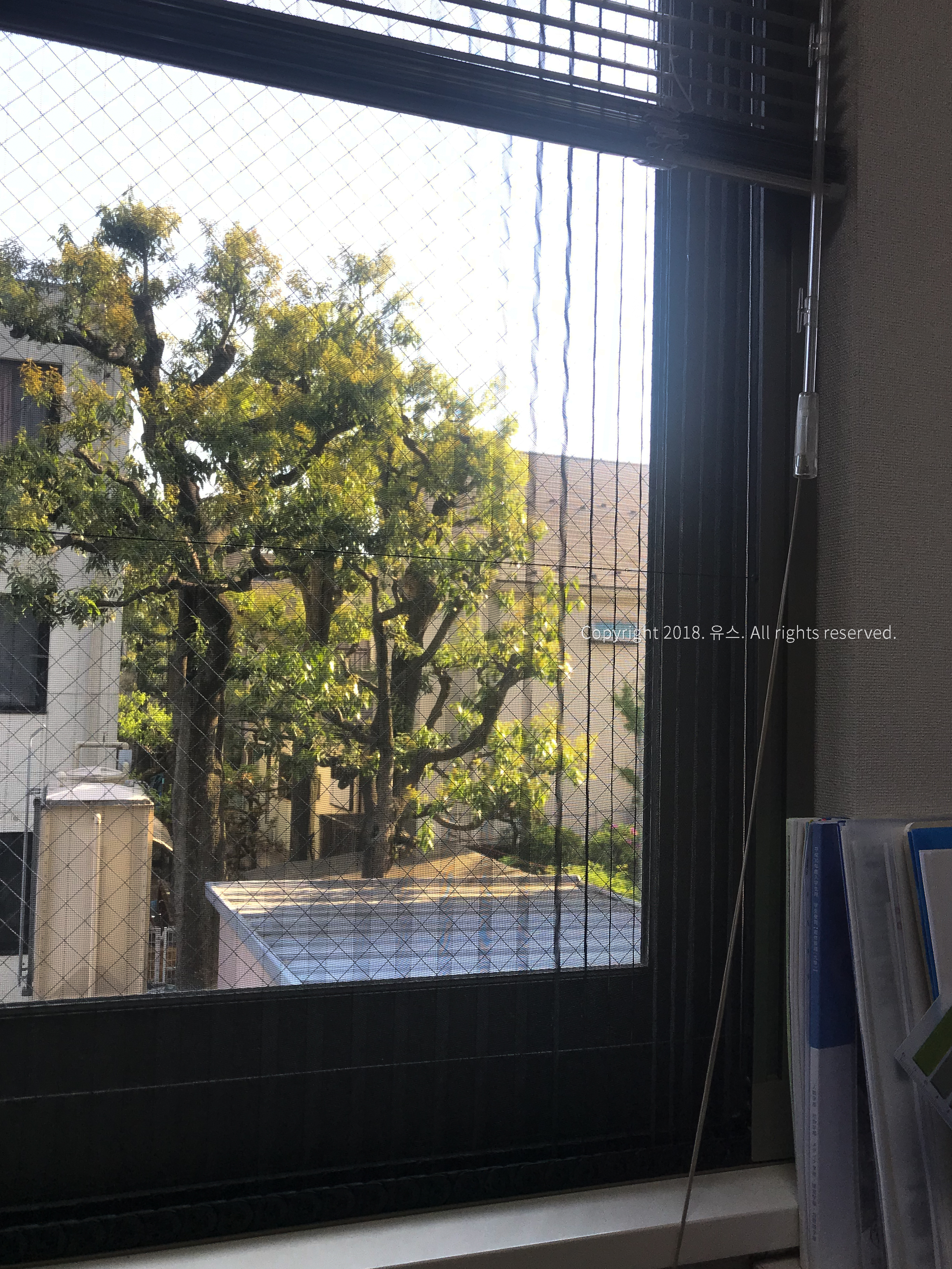 메지로대학 교환학생