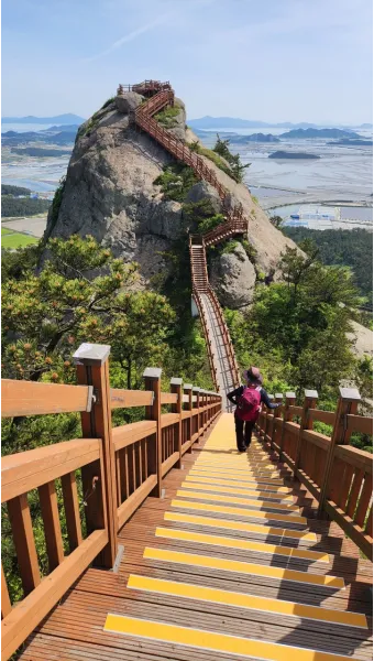 비금도 배시간표 배편 요금 예매_21