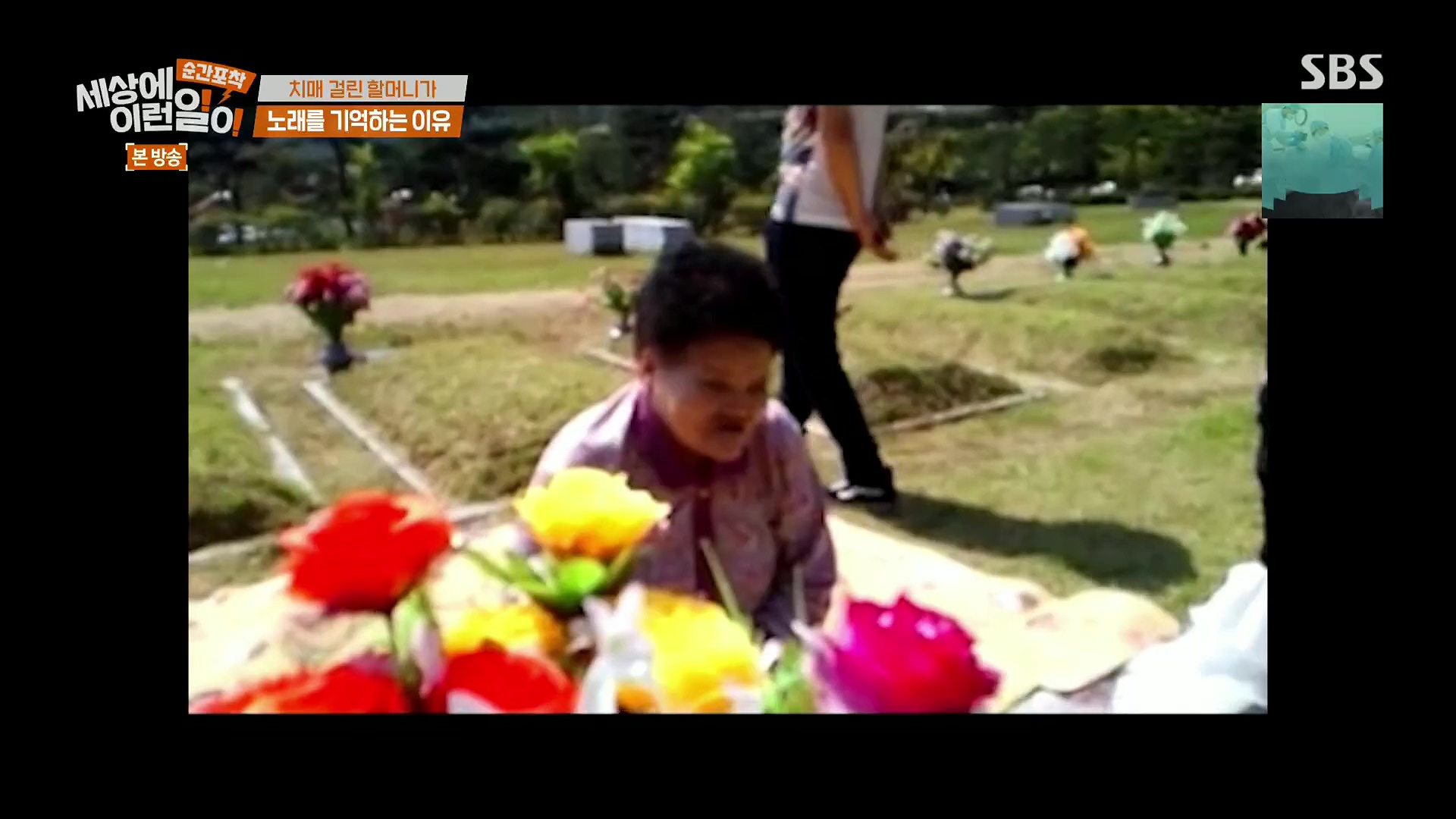 순간포착 세상에 이런일이.E1245.230909p.H264-F1RST.mp4_20230910_170914.024.jpg