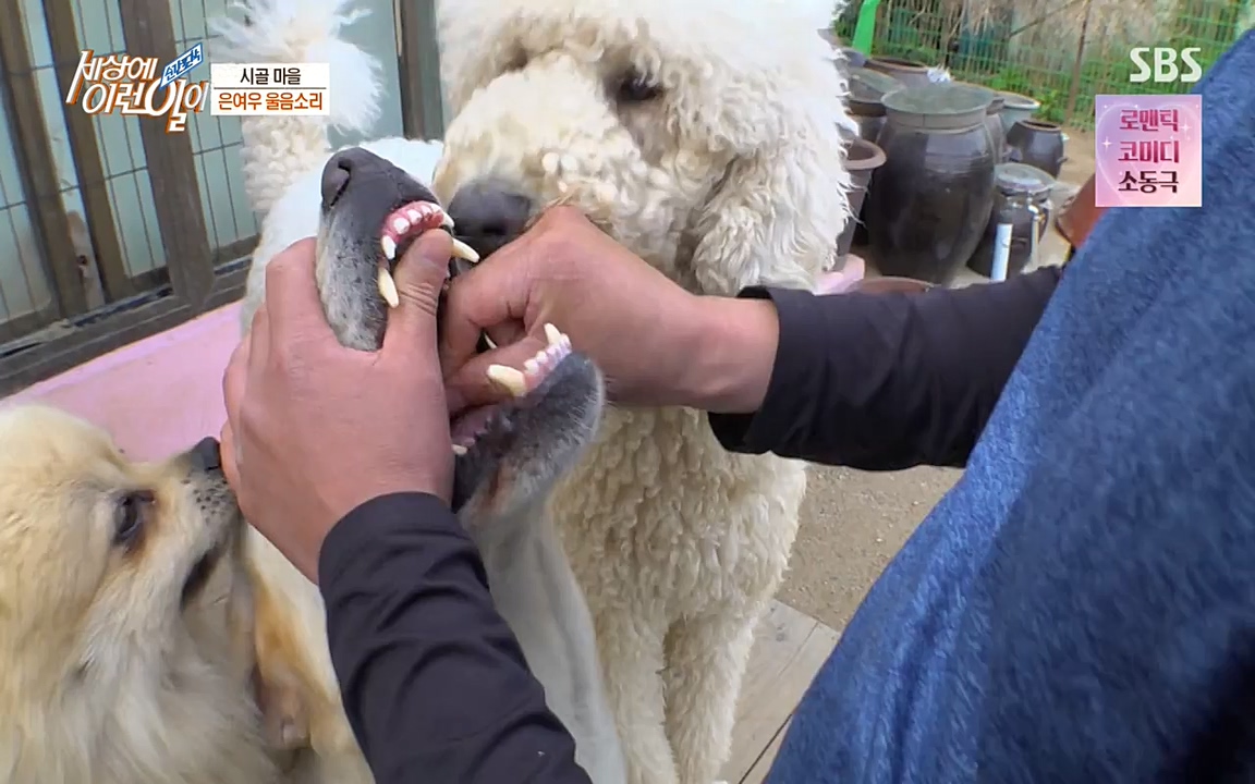순간포착 세상에 이런일이.E1179.220511p-NEXT.mp4_20220511_175822.369.jpg