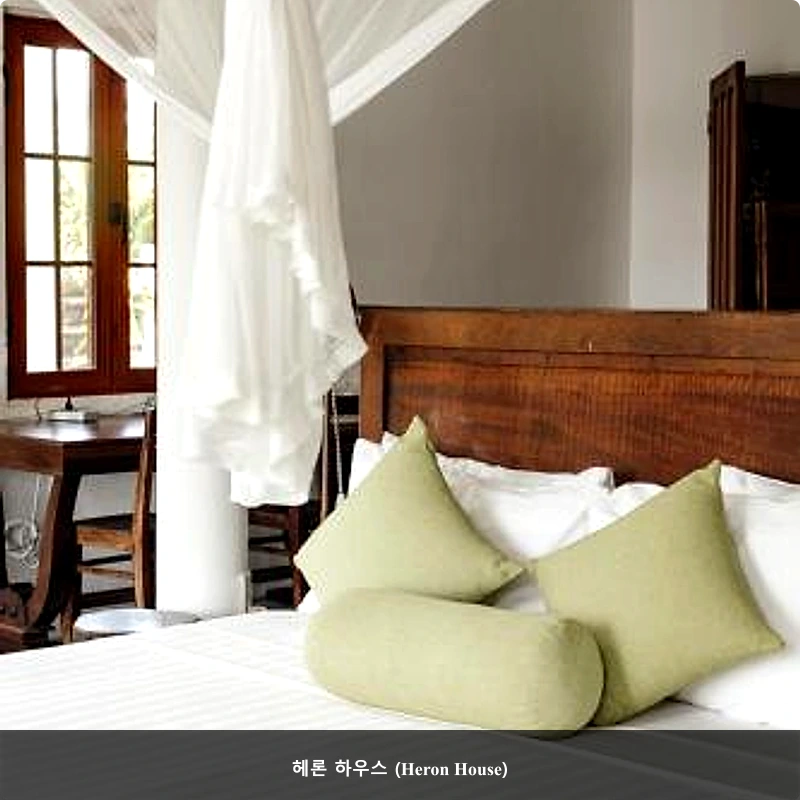 헤론 하우스 (Heron House)_2