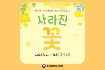 2025년 3월 4월 5월 날씨 전망 봄 날씨 예보_27