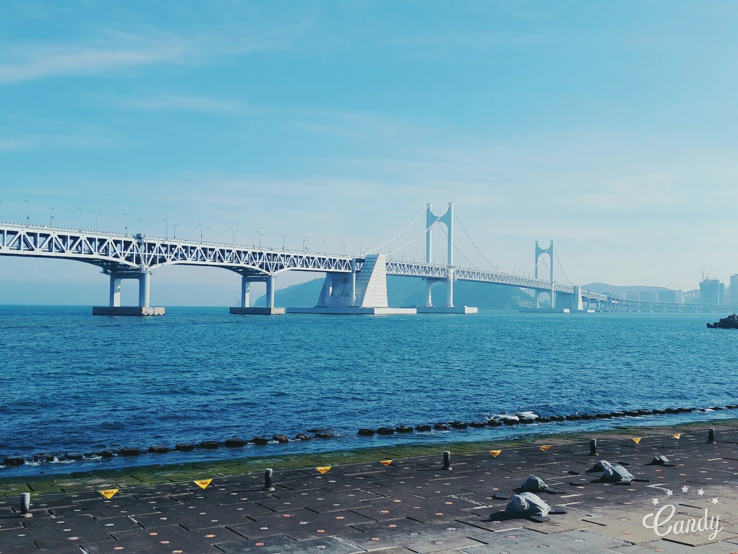  나의 첫번째 꿈 미술선생님, 지금 와서 하는 생각