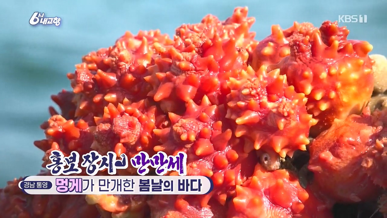 6시 내고향.E7779.230503p.H264-F1RST.mp4_20230505_181025.302.jpg