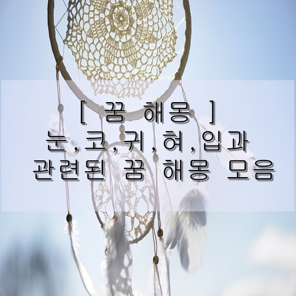 눈 코 귀 꿈해몽 알아보기