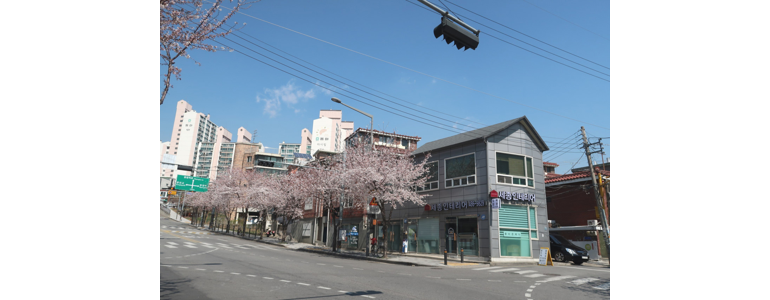 서울 강동구 도배