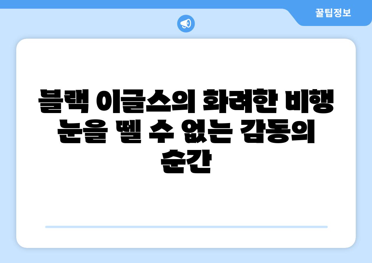 블랙 이글스의 화려한 비행 눈을 뗄 수 없는 감동의 순간