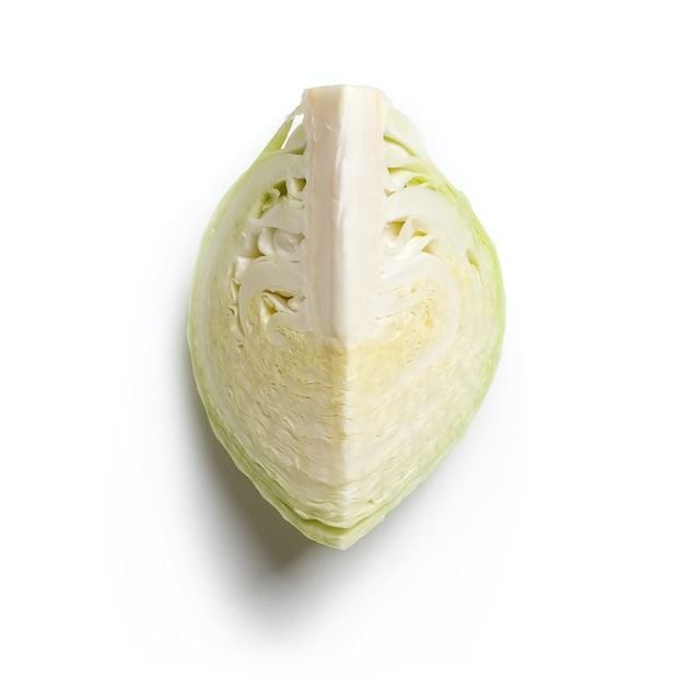 양배추 @unsplash.com