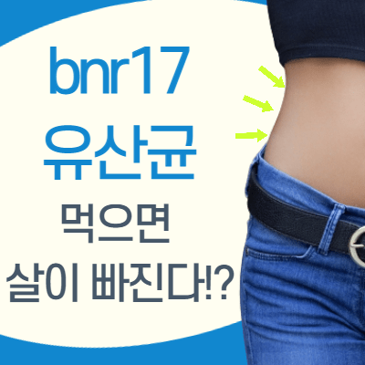  bnr17 유산균 먹으면 살이 빠진다!?
