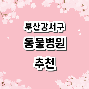 부산 강서구 동물병원