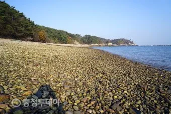 효자도 배시간표 배편 예매 요금 민박_9