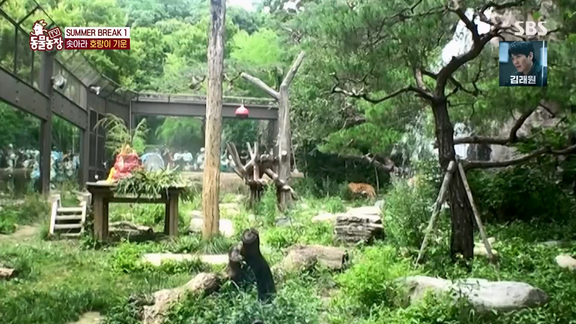 TV 동물농장.E1130.230723p.H264-F1RST.mp4_20230723_171208.008.jpg