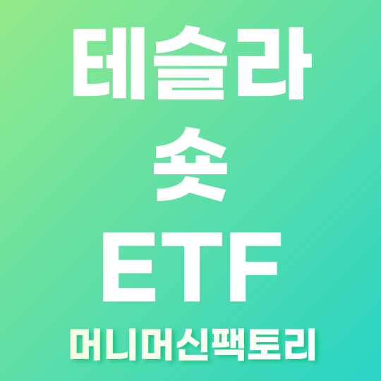 테슬라 숏 etf 종류 섬네일