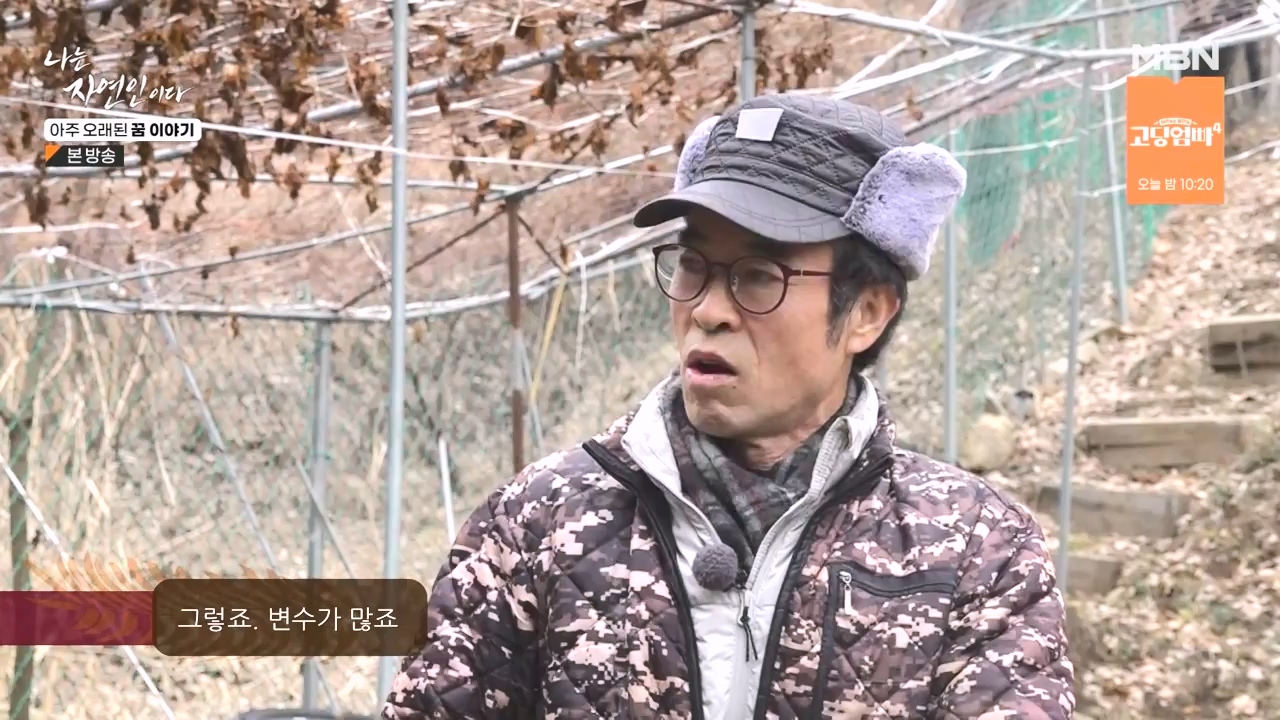 나는 자연인이다.E594.240222p-NEXT.mp4_20240222_195328.609.jpg