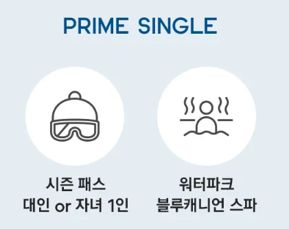 휘닉스스키장 시즌권