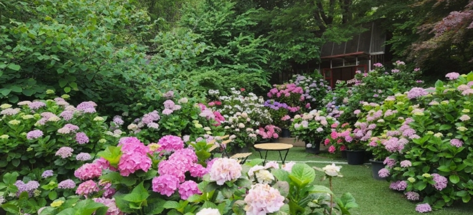율봄식물원 정원