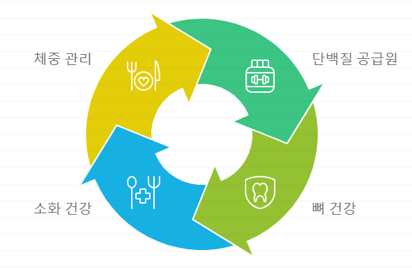 리코타 치즈