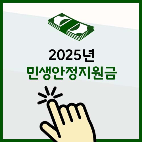 2025년 민생안정지원금