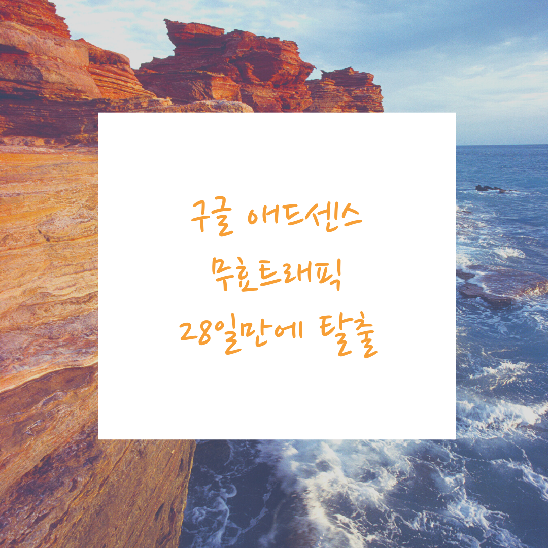  구글 애드센스 무효트래픽 광고 게재 제한 28일만에 풀리다