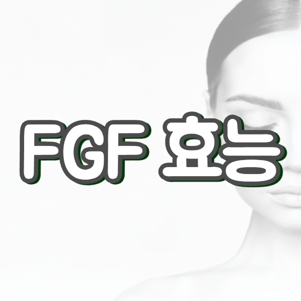 FGF 효과