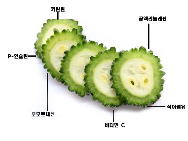  여주 효능 베스트 5  -  부작용 및 다양한 먹는 방법까지 자세히 알아보자