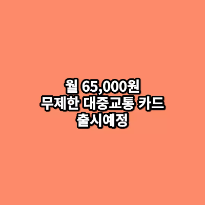 월-65&#44;000원-무제한-대중교통-카드-출시예정