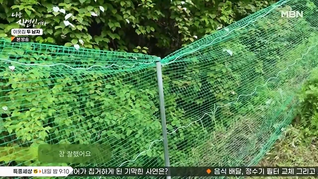 나는 자연인이다.E558.230615p-NEXT.mp4_20230615_200823.545.jpg