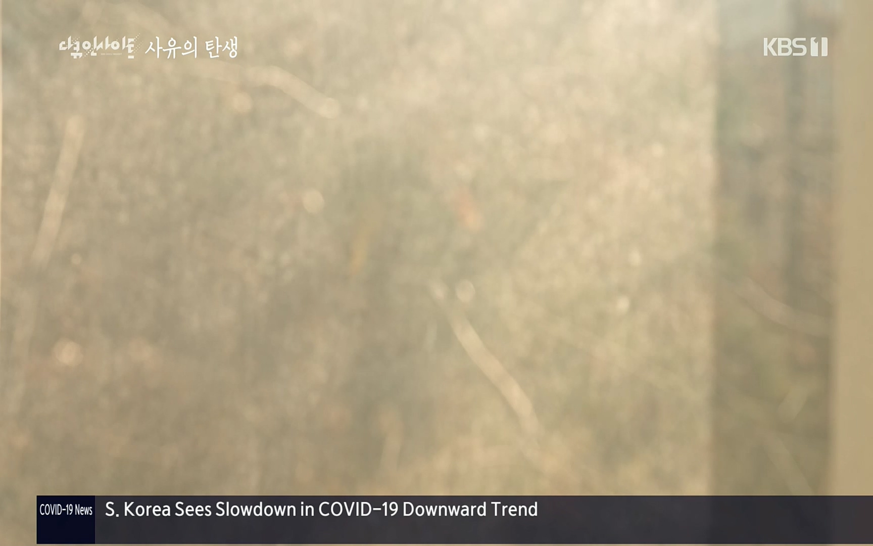 다큐 인사이트.E113.220519p.H264-F1RST.mp4_20220523_205655.621.jpg