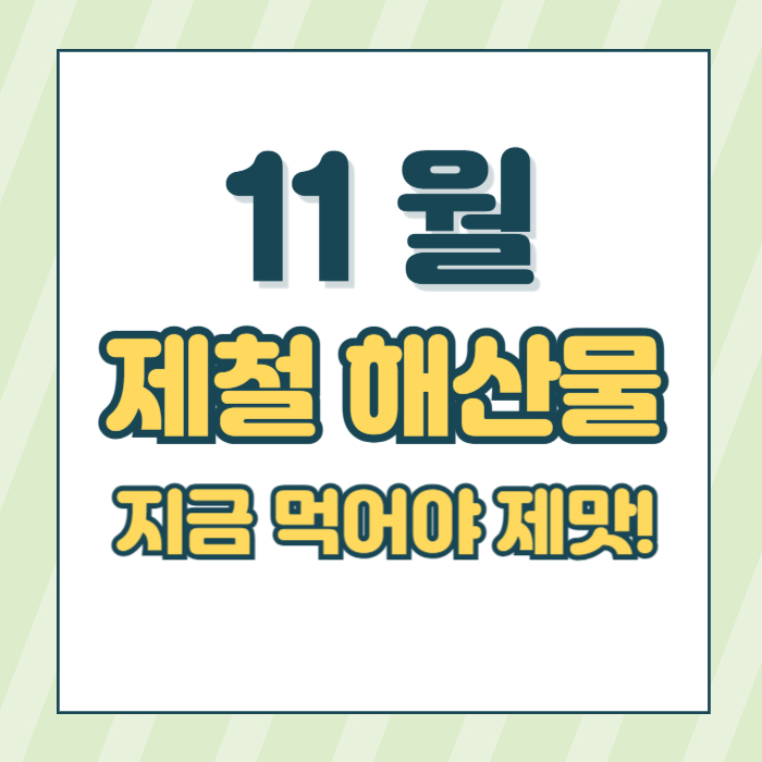 11월 제철 해산물