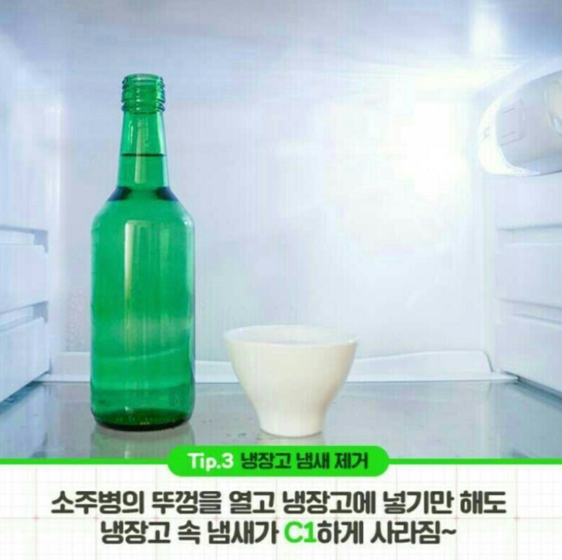 주부9단이라면 꼭 알아야할 소주사용법 - 주부9단이라면 꼭 알아야할 소주사용법 주부9단이라면 꼭 알아야할 소주사용법 - 주부9단이라면 꼭 알아야할 소주사용법