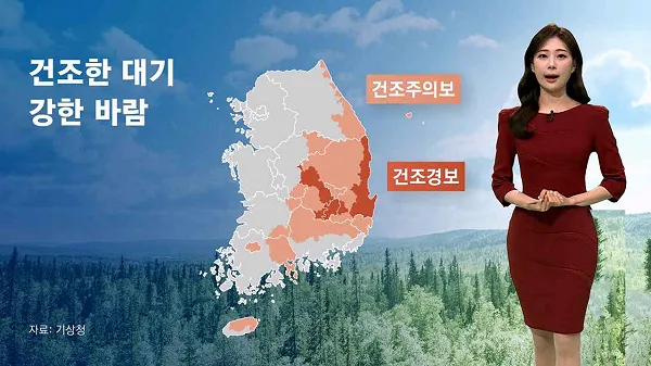 일기예보
