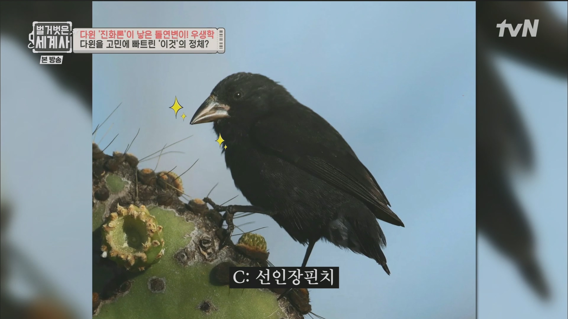 벌거벗은 세계사.E97.230502p.H264-F1RST.mp4_20231224_171025.144.jpg
