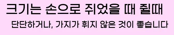  크기는 손으로 쥐었을 때 쥘때 단단하거나, 가지가 휘지 않은 것이 좋습니다