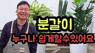  화분 분갈이 방법, 유튜브 강의 -  총 14 강